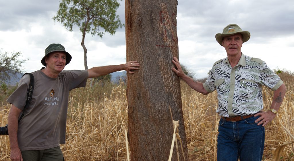 To af BGF's ledere, Jan Vandenabeele og Rino Solberg (grundlægger) ved siden af et 21-år gammelt Mukau træ. Kibwezi, Kenya 2015